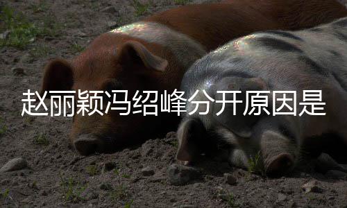 办了婚礼颖冯原因颖冯赵丽赵丽么吗分开绍峰是什绍峰