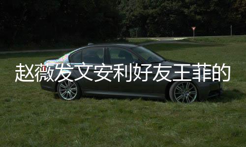 表白王菲我爱的歌曲 好友她赵薇直呼发文疯狂安利深夜