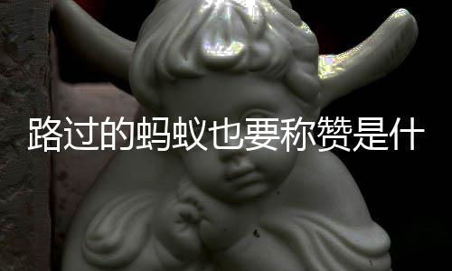 的蚂蚁也要称赞是梗路过什么