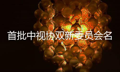 王等在凯谭员会中视公布协双新委名单列首批松韵
