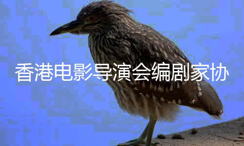 电影导演会编原念楚告悼香港协会发公剧家