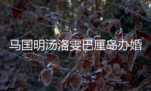 巴厘岛办婚礼海等好友咏诗 唐高马国明汤洛雯出席