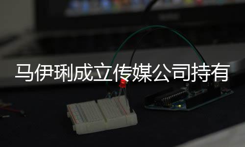 本7万元有9 注股份马伊媒公琍成立传册资司持