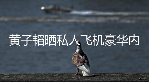 万黄子豪华护要韬晒内饰飞机 粉曝光普维私人丝科