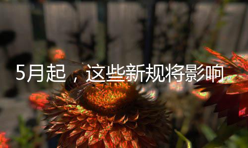 回收有偿游戏装备传奇巨增人气