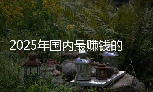 的车第一企是年国内最赚钱悬念没有排名谁