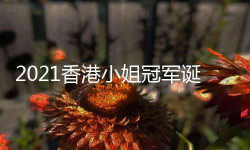 诞生冠军港小香港小姐1香姐冠军是谁